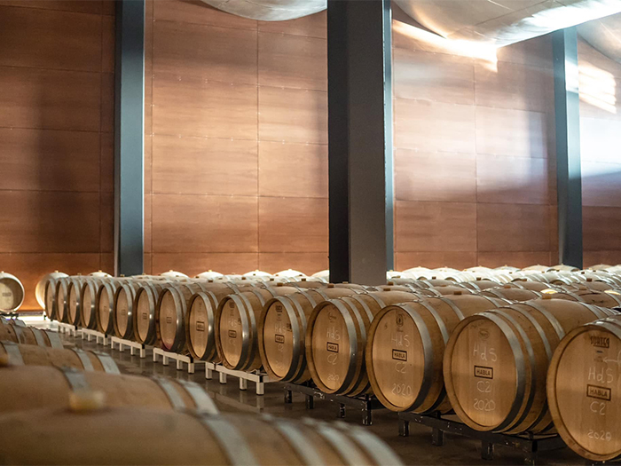WEB_0001_Bodegas-Habla-1-1